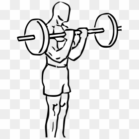 Bicep Curl Vector, HD Png Download - barbell png