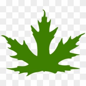 Purple Maple Leaf Clipart, HD Png Download - maple leaf png