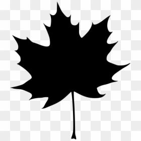 Maple Tree Leaf Silhouette, HD Png Download - maple leaf png