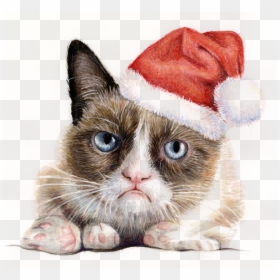 Clip Art Santa Cat, HD Png Download - grumpy cat png