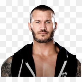 Randy Orton Beard, HD Png Download - brock lesnar png