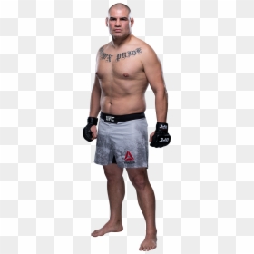 Velasquez Vs Ngannou Video, HD Png Download - brock lesnar png