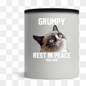 Snowshoe, HD Png Download - grumpy cat png