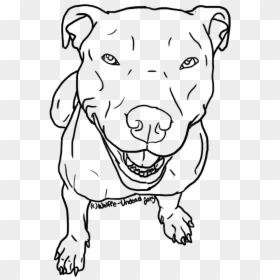 Black And White Line Drawings Of Pitbulls, HD Png Download - pitbull png