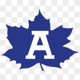 Adrian High School Maples, HD Png Download - maple leaf png