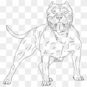 Line Art, HD Png Download - pitbull png