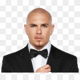 Pitbull Rapper Hd, HD Png Download - pitbull png