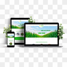 Free Responsive Website Templates, HD Png Download - responsive png