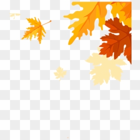 Maple Falling Png, Transparent Png - maple leaf png