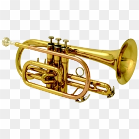 Brass Band Instrument, HD Png Download - music instruments png