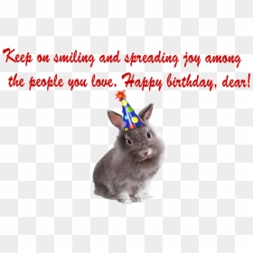 Rat, HD Png Download - birthday wishes png