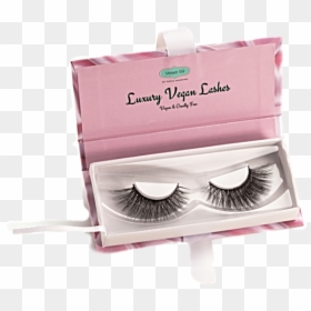 Eyelash Extensions, HD Png Download - belle png