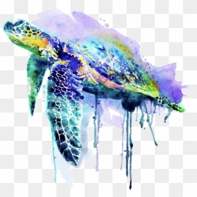 Sea Turtle Watercolor, HD Png Download - sea turtle png