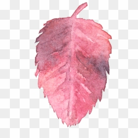 Leaf Watercolor Transparent Png, Png Download - water color png