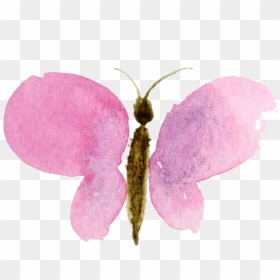 Watercolor Clipart No Background, HD Png Download - water color png