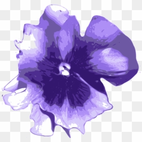 Purple Flowers Watercolor Png, Transparent Png - water color png