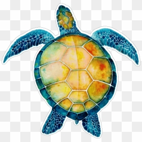 Turtule On Sea Quotes, HD Png Download - sea turtle png