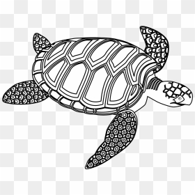Turtle Black And White, HD Png Download - sea turtle png