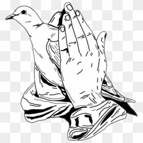 Praying Hands With Dove, HD Png Download - prayer png