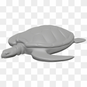 Kemp's Ridley Sea Turtle, HD Png Download - sea turtle png
