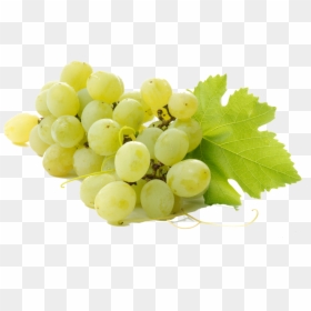 Grapes Fruit With Name, HD Png Download - grape png