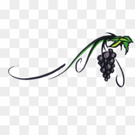 Grapevine Clipart Transparent Background, HD Png Download - grape png
