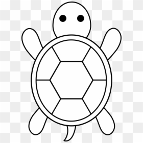 Draw A Green Sea Turtle Easy, HD Png Download - sea turtle png