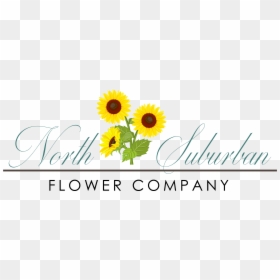 North Suburban Floral Services Company - Sunflower, HD Png Download - suburban png