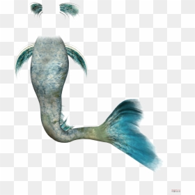 Mermaid Rusalka Clip Art - Mermaid Tails Transparent Background, HD Png Download - mermaid tails png