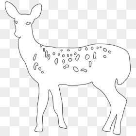 Transparent Doe And Fawn Clipart - White-tailed Deer, HD Png Download - white tailed deer png