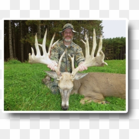 Wilderness Whitetail Hunter - 2017 Monster Bucks, HD Png Download - white tailed deer png