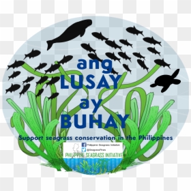 School Of Fish Vector, HD Png Download - seagrass png