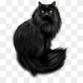 Painted Black Cat Clipart - Fluffy Black Cat Clipart, HD Png Download - persian cat png