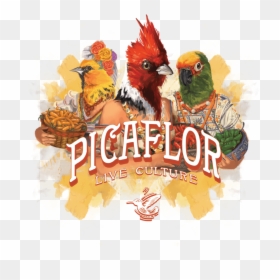 Picaflor Logo, HD Png Download - sriracha bottle png