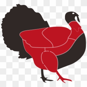 Transparent Pavo Png - Animales Carnes Vector, Png Download - pavo png