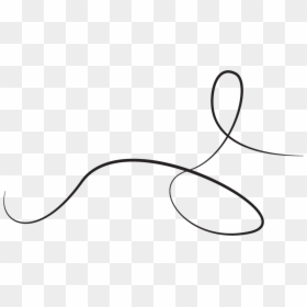 Squiggly Line Drawn By Illustrator - Line Art, HD Png Download - drawn line png