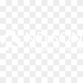 Nelson Mandela Photo Download , Png Download - Poster, Transparent Png - nelson mandela png