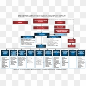 Nelson Mandela Bay Municipal Organogram - Organogram Of A Municipality, HD Png Download - nelson mandela png