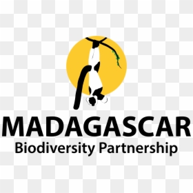 Transparent Madagascar Logo Png - Madagascar Biodiversity Partnership, Png Download - madagascar logo png