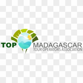 Logo Top Preference - Top Madagascar, HD Png Download - madagascar logo png