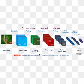 Neural Network 35 - Convolutional Neural Network Working, HD Png Download - neural network png