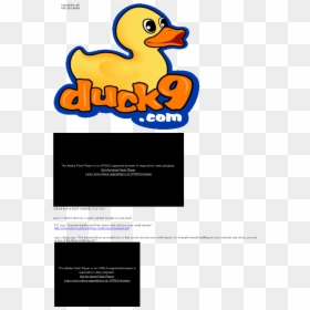 Duck Png Download Duck - Duck, Transparent Png - equifax png