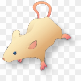 Rat, HD Png Download - lab rat png
