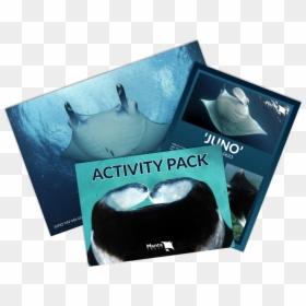 Mt Adoption Packs Preview Thumbnail - Manta Trust, HD Png Download - manta ray png