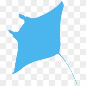 Cushion, HD Png Download - manta ray png