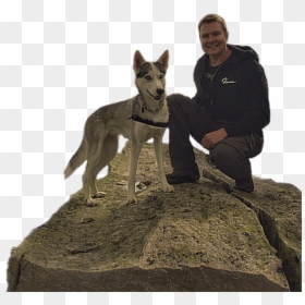 Donkey, HD Png Download - k9 png