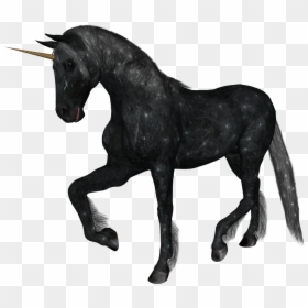 Unicorn - Horn Unicorn Realistic Png, Transparent Png - free unicorn png