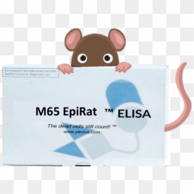 Eiprat Elisa - Rat, HD Png Download - lab rat png