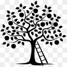 Transparent Sombra Png - Apple Tree Silhouette Png, Png Download - apple silhouette png