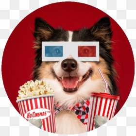 K9 Cinemas, HD Png Download - k9 png